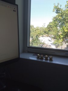 Cambridge working